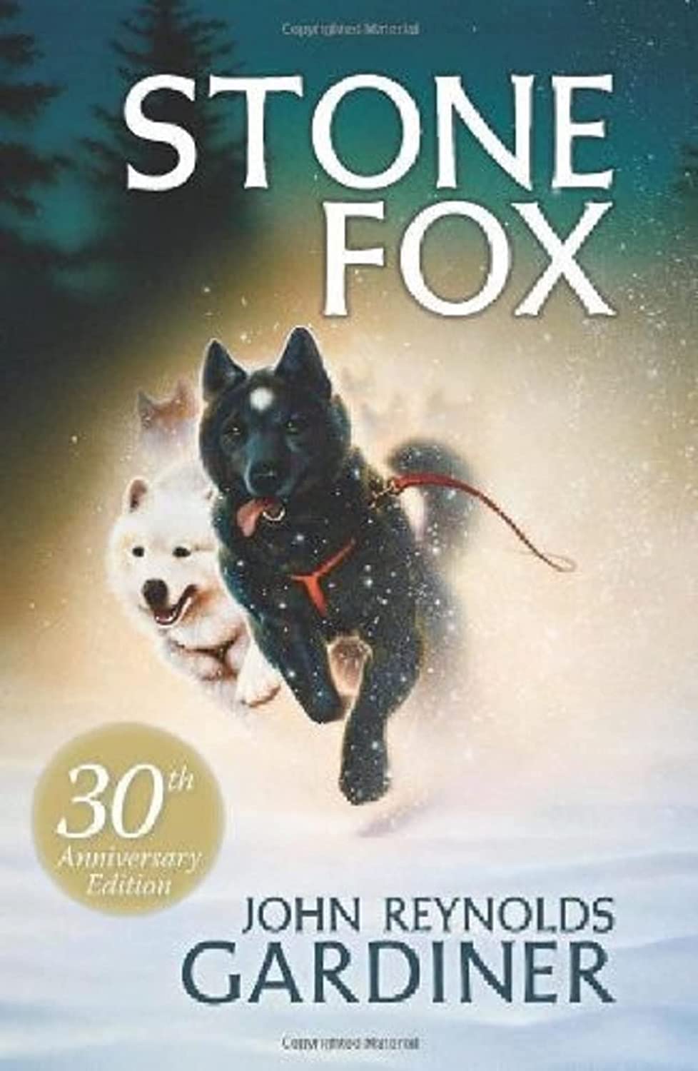 書籍封面: Stone Fox