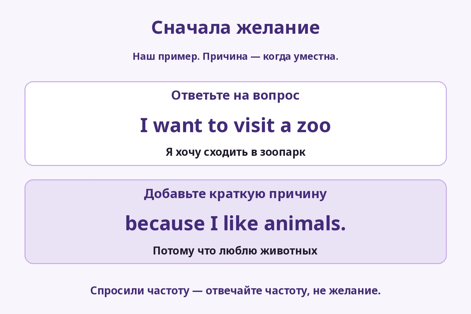 Сначала желание посетить зоопарк, затем причина — любовь к животным