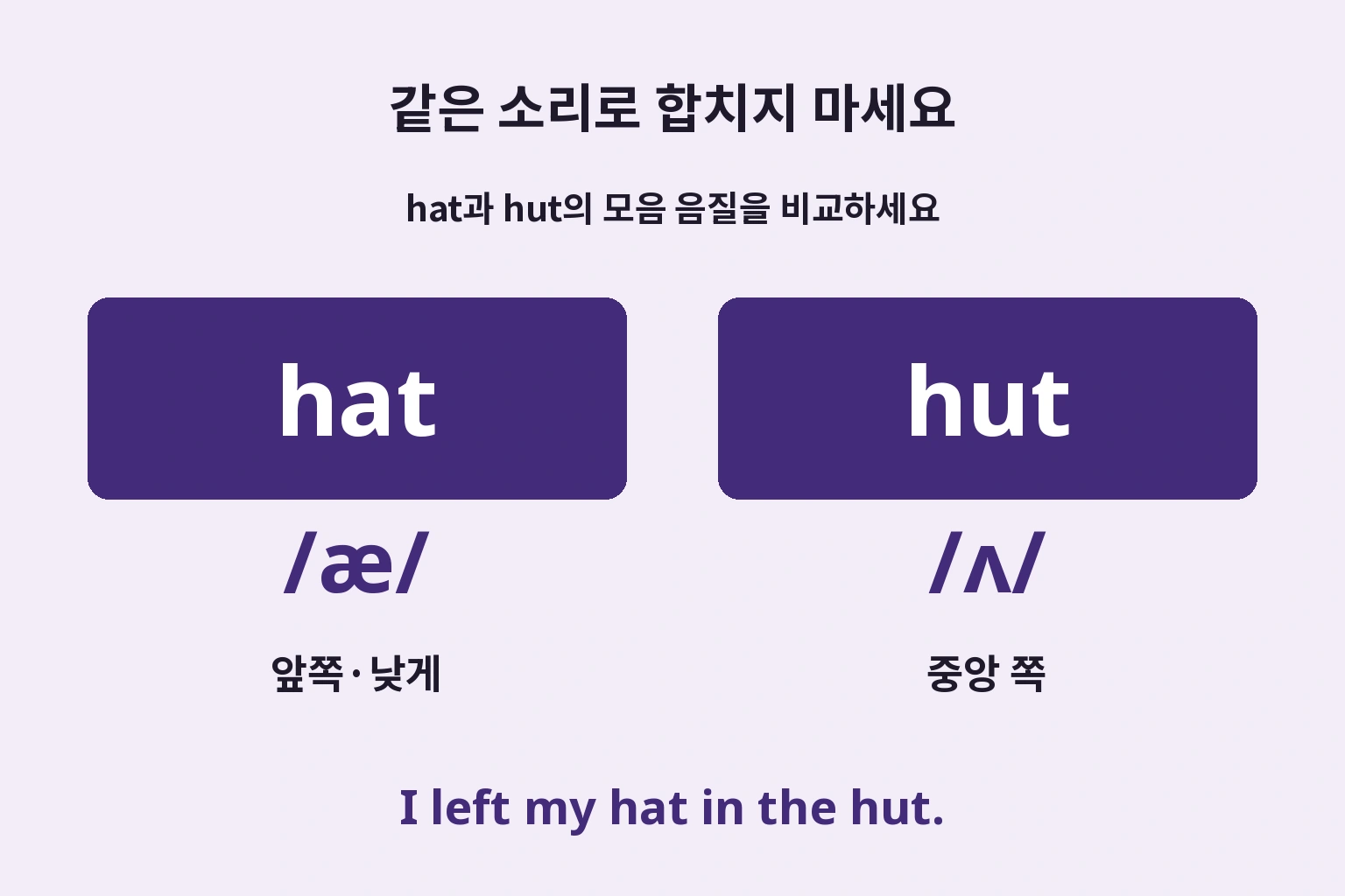 hat의 낮은 앞쪽 모음과 hut의 중앙 모음 비교